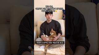 변호사님, 이혼하게 되면 반려동물의 양육권은 어떻게 정하나요? #로스쿨 #변호사 #고소장 #기업법무 #민사 #형사 #고양이 #강아지