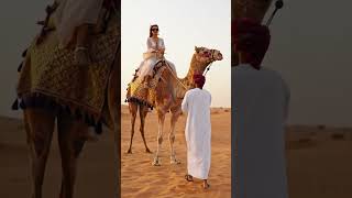 #traverseedudesert #desertsafari #dance #desertadventures #deserttour #deserttrip