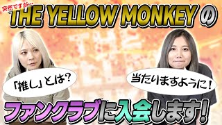 【推しとは】THE YELLOW MONKEYのファンクラブに入会してみた！【ガチ抽選】
