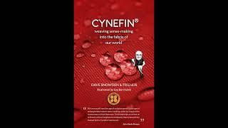Cynefin - Weaving Sense-Making into the Fabric of Our World