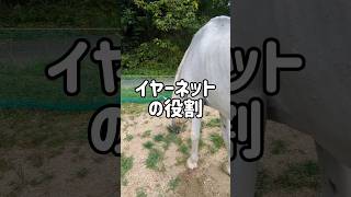 イヤーネットの役割　#解説 #horse #馬 #乗馬 #雑学