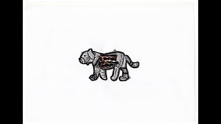 How To Doodle | Tasty Tiger #60 | Tangleart | Doodleart | 𝐥𝐢𝐨𝐧_𝐚𝐫𝐭_𝐝𝐨𝐨𝐝𝐥𝐞 #shorts