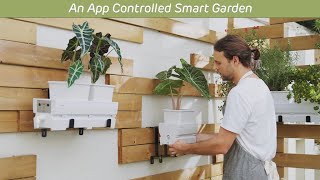 Now on Kickstarter: Letpot, A 30 Days Watering Free Smart Garden