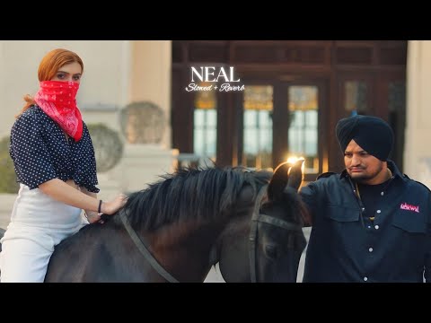 Neal ( Slowed + Reverb ) - Sidhu Moose Wala