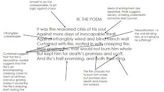S.I.W. - Wilfred Owen - Analysis