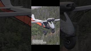 Meet the Ascender