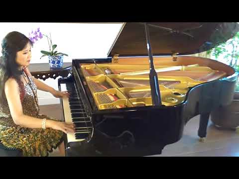 Belle - Notre-Dame de Paris - piano covered and played by Lisa Park. (music from Richard Cocciante)