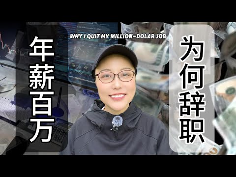 年薪百万美金，为何我还要辞职？| Why I Quit My Million-Dollar Job