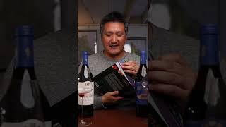 The South American WINE Guide