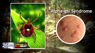 No more steak, burgers? Allergic reaction to red meat linked to ticks found in New England