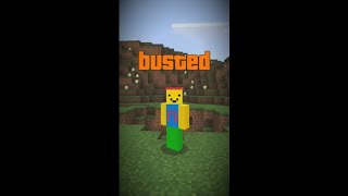 Minecraft myth buster in Hindi #shorts #mythbusting #minecraft #minecraft_shorts #hindi #shortfeed