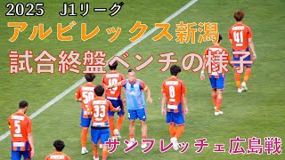 【アルビレックス新潟】　試合終盤　ベンチの様子　2025J1リーグ 第24節　サンフレッチェ広島戦　〜ビッグスワンでアルビを応援しようぜ〜