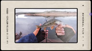 2024 Ekim tatlı su avı - 2024 October fresh water hunt
