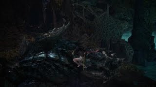 【MHWIB】硫斬竜ディノバルド亜種 最大金冠