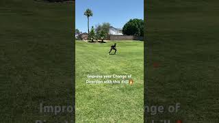 Improve your change of direction with this drill… #sportsperformance #personaltrainer #fitness