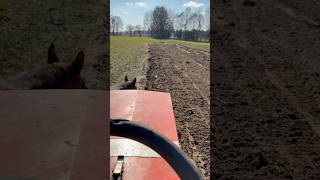 Kultywator do traktorka kosiarki #oporowo #oporowocałodobowo #traktory #kosiarka #farming #traktorz2