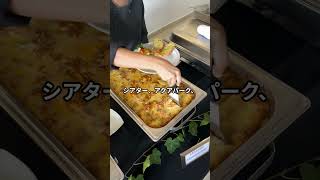 日本のクルーズに革命！MSCベリッシマの全貌とは？