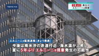 エルニーニョ発生の可能性　気温低めに？