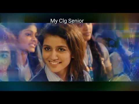 Class Girl vs College Senior- Whatsapp status