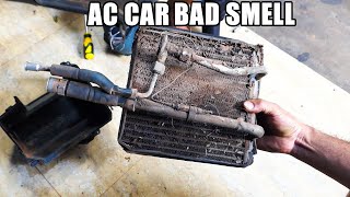 Fixing Bad Smell! Full AC Cleaning & Car Wash Transformation