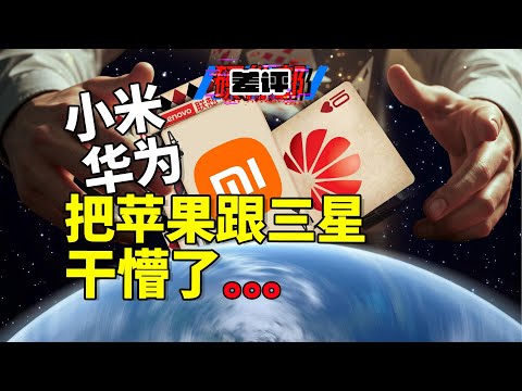 最全面的2024全球数码行业现状汇总！小米全球第三？联想称霸PC？【差评硬件部】