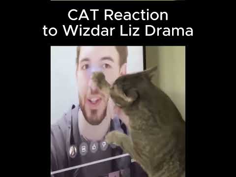 Cat Reaction On Wizard Liz Drama #drama #wizardliz #wizardlizdrama #drama #lizwizard