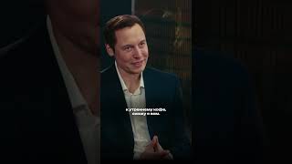 Илон Маск: Тейлор Свифт и теория заговора на Суперкубке🫢