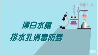 漂白水妙用 - 排水孔防蟲消毒