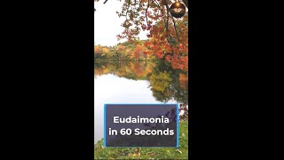 Find Your Bliss: Eudaimonia in a Minute #shorts #eudaimonia #happiness #personalgrowth