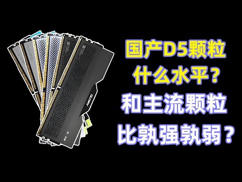 【國產記憶體測評系列】國產D5記憶體什麼水準？和主流顆粒比孰強孰弱？Domestic Memory Evaluation Series