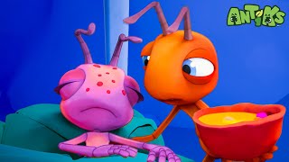 The GREAT Ant Flu | Antiks 🐜 | Action Cartoons For Kids