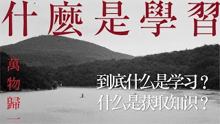 什么是学习：到底什么是学习？什么是获取知识？学习不是一种累积，它是一种持续不断的觉察。