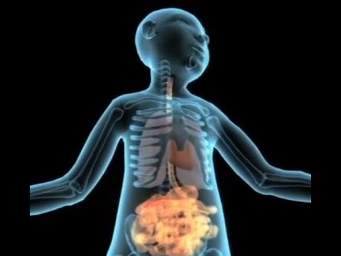 Our Cells, Our Selves- The evolution of metabolism and its role in diabetes