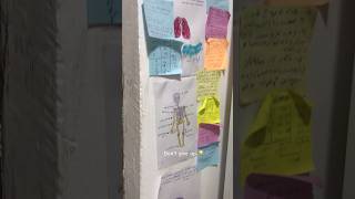 @Ahmad_Taha_biology ..the best one #thegreatest #sia #grade12exam