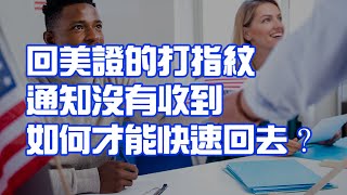 回美證的打指紋通知沒有收到 如何才能快速回國？