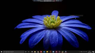 how to make a web server using WordPress on Windows server2019 part 2
