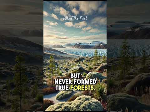 GreenLand - World’s Largest Island Full Of Ice | What The Fact