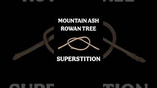 Superstition About Rowan Tree Mountain Ash Superstitious Beliefs #superstitions