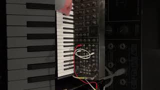 Korg MS-20 Mini / Acetone FR-3 / Memory Boy Analog Delay