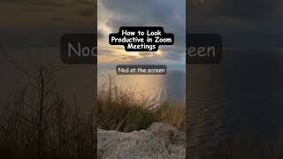 How to Look Productive in Zoom Meetings