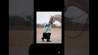HARLOW LUNA WHITE ONCE SAID.. @HarlowLunaWhite #horse #equestrian #harlowandpopcorn