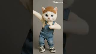 Ranu Bombai Ki Ranu Song | cat dance   cute cat 😺 #https://youtube.com/@anokhi_2.0