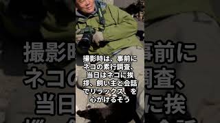 ネコは不思議。見れば見るほど、知れば知るほど、奥が深くて分からないことが多くなる。だからこそ、もっともっと知りたいと思う。(岩合光昭:動物写真家)