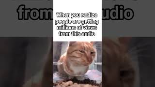 How does this audio work? #catmemes #catsofyoutube #memes #memesdaily #viral #viralvideos #shorts