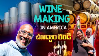 Wine making in USA - అమెరికా లో వైన్ తయారీ  | @Rajusavlogs  | #usa #trending #youtuber #wine