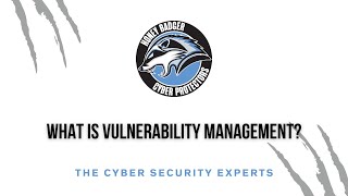 What is Vulnerability Management?