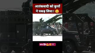 India very Powerful security #armydog #zsecurity