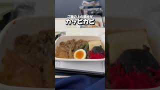 ANAの機内食が酷すぎた！！