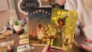 CAPRICORN: “THE PLOT TWIST YOU DID NOT KNOW YOU WANTED….TIL NOW” 💞🌱 JULY 2025 TAROT LOVE + GENERAL