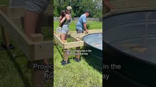 Day 2: I really should 🫡 ✨ #stocktankpool #stocktankdiy #diyproject #DIY #homediyproject